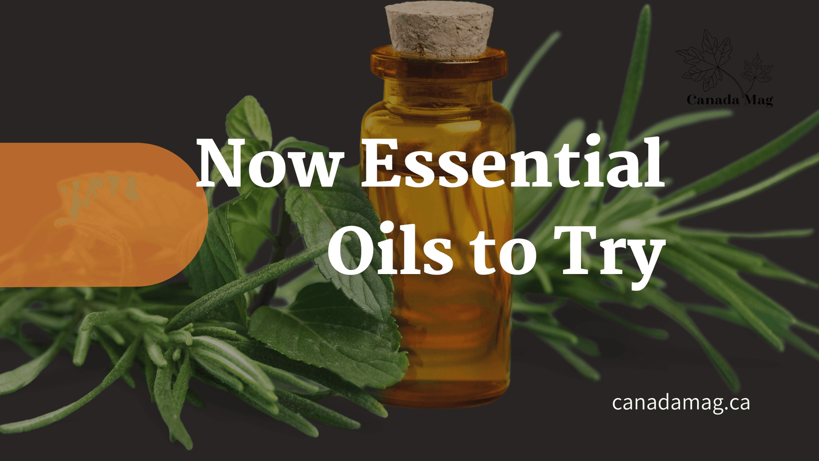 NOW essential oil